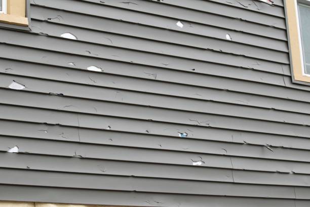 Best Aluminum Siding Installation  in Dalton, GA